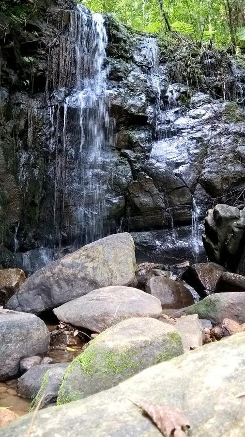 Sinharaja Forest Sanctuary Deniyaya Ngoại thất bức ảnh