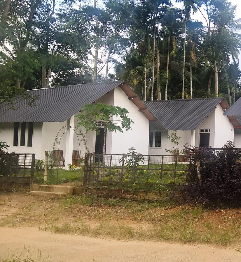 Sinharaja Forest Sanctuary Deniyaya Ngoại thất bức ảnh