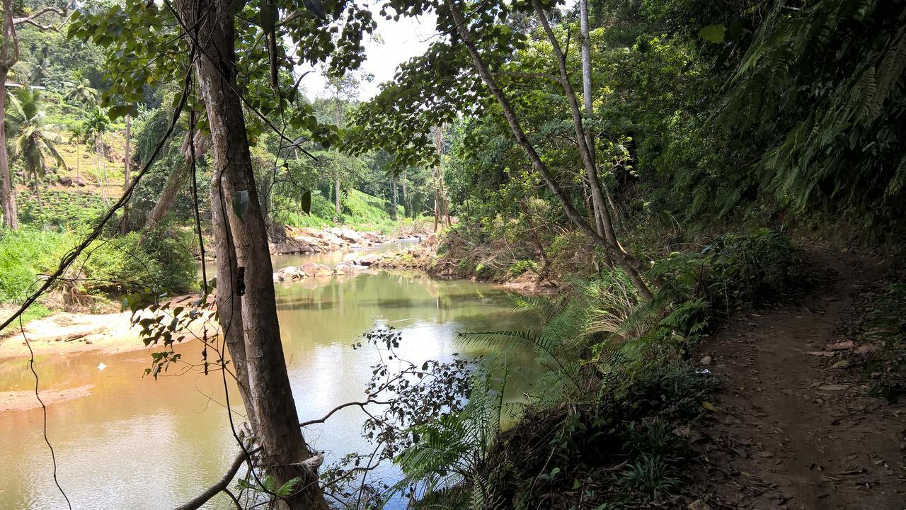 Sinharaja Forest Sanctuary Deniyaya Ngoại thất bức ảnh