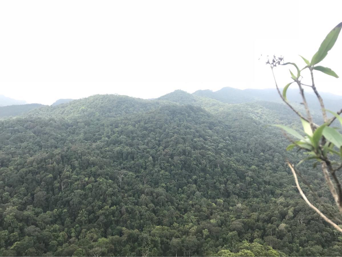 Sinharaja Forest Sanctuary Deniyaya Ngoại thất bức ảnh