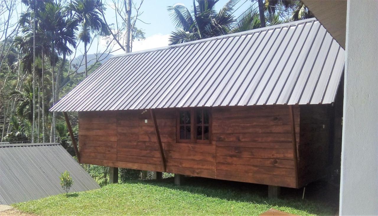 Sinharaja Forest Sanctuary Deniyaya Ngoại thất bức ảnh
