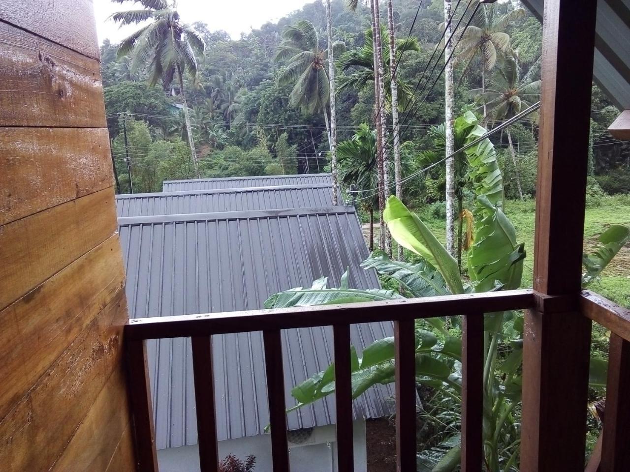 Sinharaja Forest Sanctuary Deniyaya Phòng bức ảnh