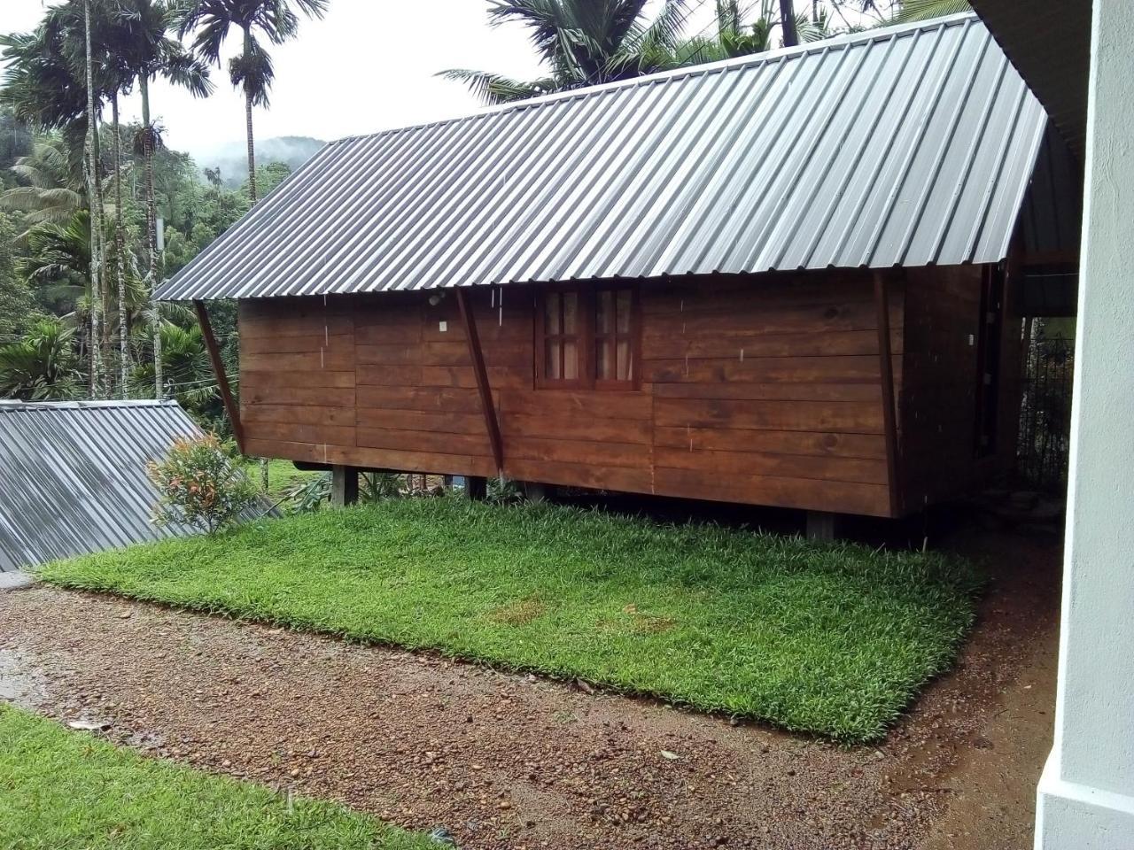 Sinharaja Forest Sanctuary Deniyaya Ngoại thất bức ảnh