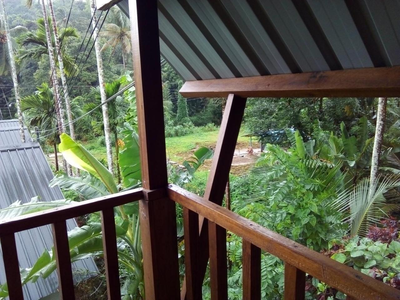 Sinharaja Forest Sanctuary Deniyaya Phòng bức ảnh