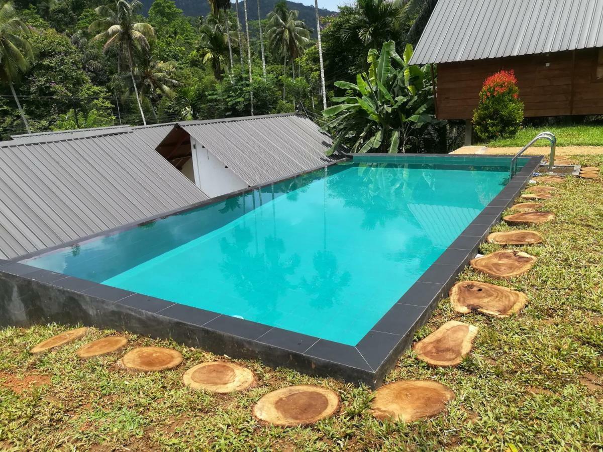 Sinharaja Forest Sanctuary Deniyaya Ngoại thất bức ảnh