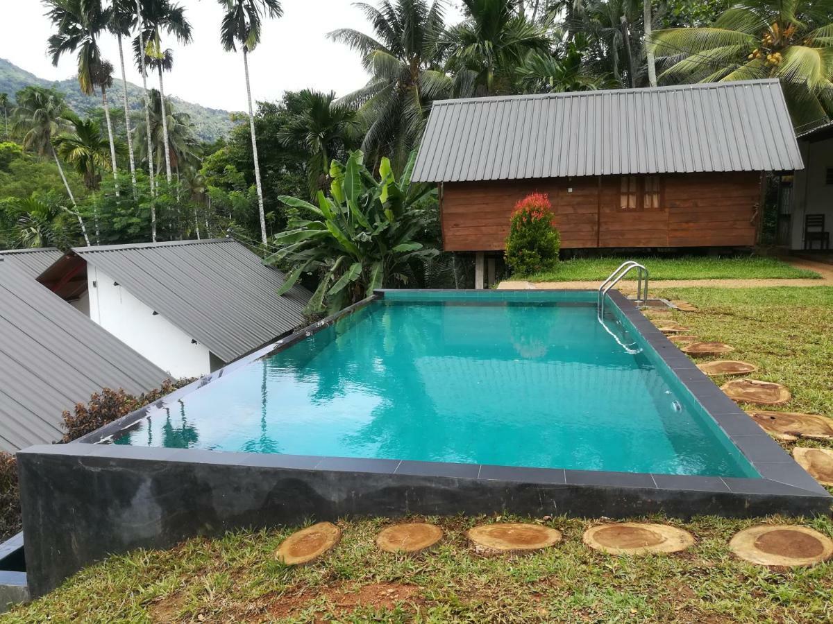 Sinharaja Forest Sanctuary Deniyaya Ngoại thất bức ảnh